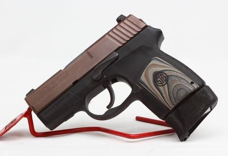 P290rs W/ 2 Mags, Holster